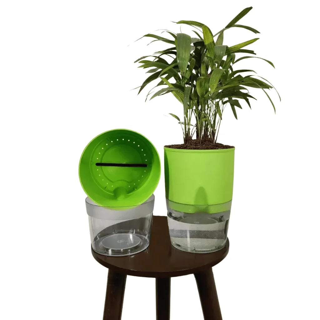 Buy LOBELLO Premium Quality self watering Green pot Online at Lalitenterprise