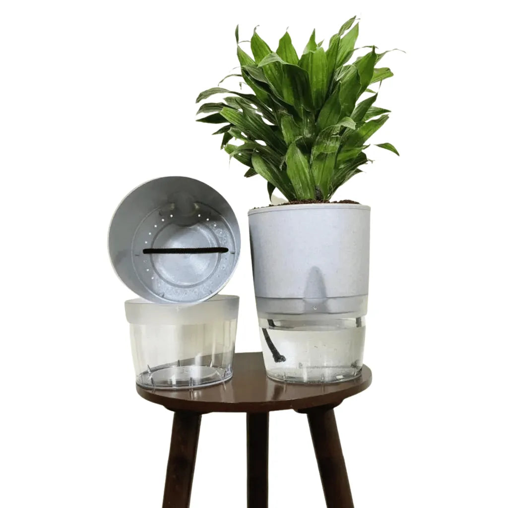 Buy LOBELLO Premium Quality self watering Stone Grey pot Online at Lalitenterprise