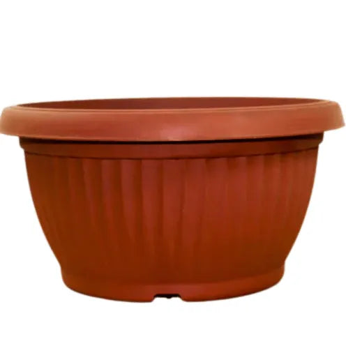 Buy Round Shape Bonsai Plastic Pot Online at Lalitenterprise