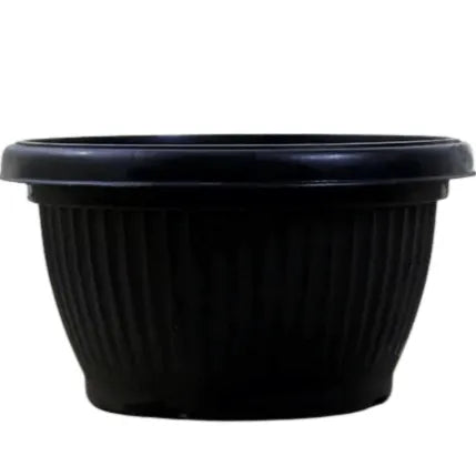 Buy Round Shape Bonsai Plastic Pot Online at Lalitenterprise