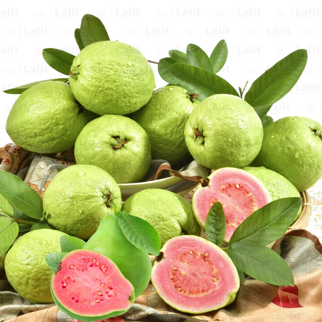 Buy Amrud (Guava) "Taiwan Pink Variety" - Plant Online at Lalitenterprise