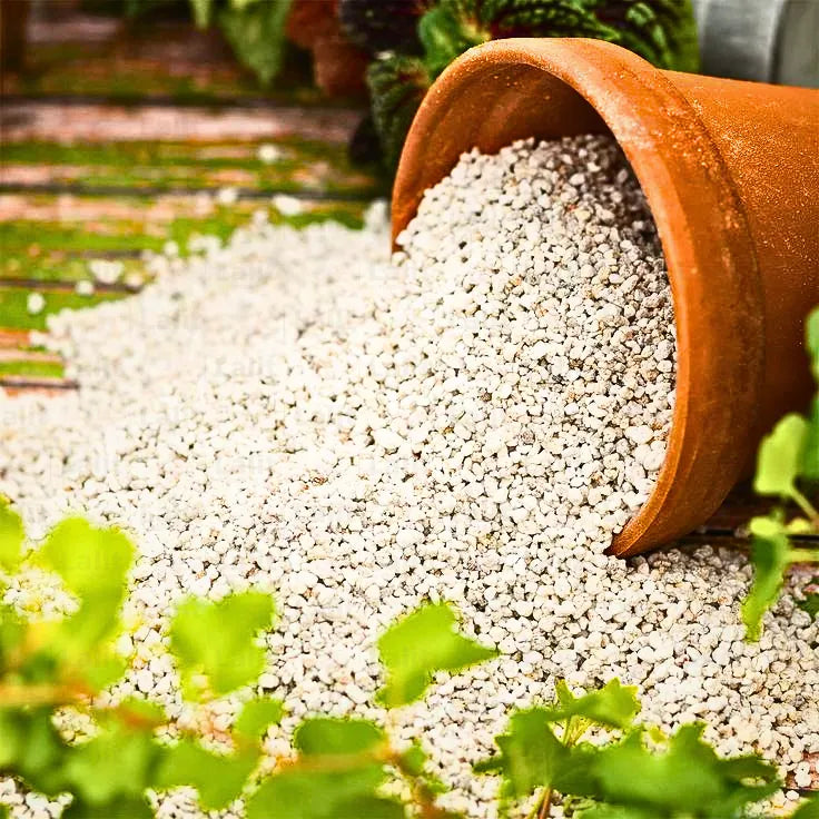 Buy Perlite Soil (500gms & 1kg) Online at Lalitenterprise