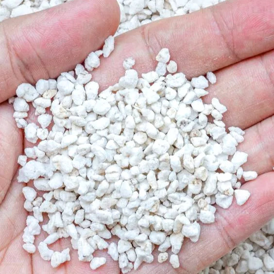 Buy Perlite Soil (500gms & 1kg) Online at Lalitenterprise