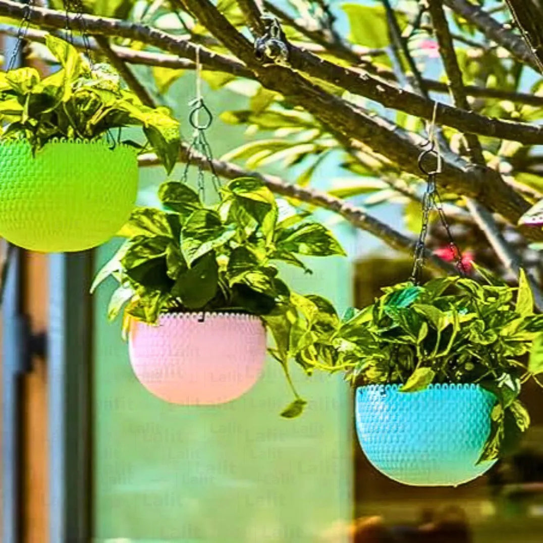 Buy Harshdeep Capri Hanging Planter Online at Lalitenterprise