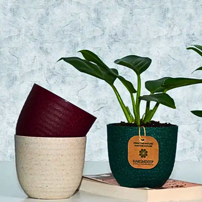 Buy Harshdeep Verona Eco 22 - Planter Online at Lalitenterprise