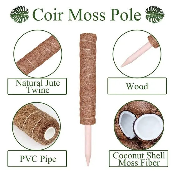 Buy Coir Poles Online at Lalitenterprise