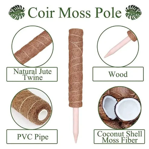 Buy Cocoliner pole, Coir pole, Plant Supporting  Stick Online at Lalitenterprise
