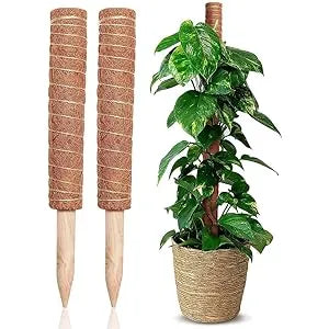 Buy Cocoliner Supporting Poles (Coir Poles) Online at Lalitenterprise