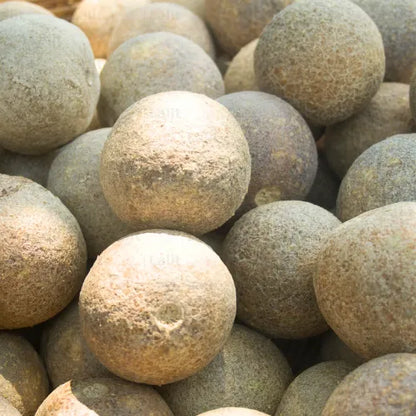 Buy Wood Apple (Limonia Acidissima) - Plant Online at Lalitenterprise