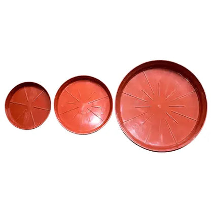 Buy YUCCABE ITALIA Shera Plastic Base plate Online at Lalitenterprise