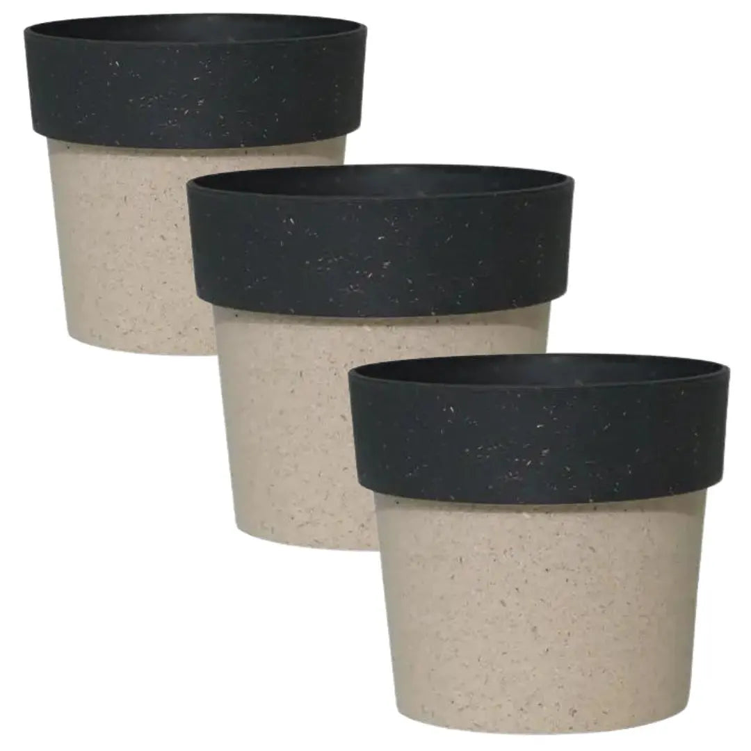 Buy Harshdeep Premium Arty Eco 10 "Cream & Black" - Planter (Set of 3) Online at Lalitenterprise