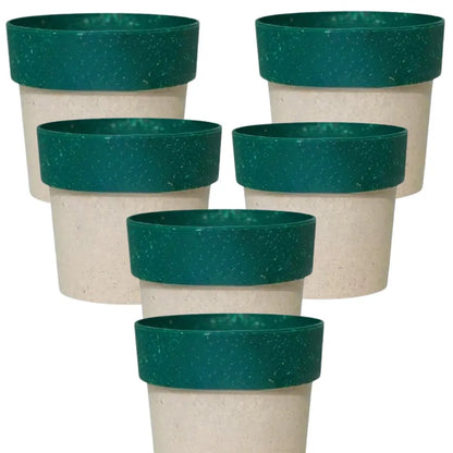 Buy Harshdeep Premium Arty Eco 10 "Cream & Green" - Planter (Set of 6) Online at Lalitenterprise