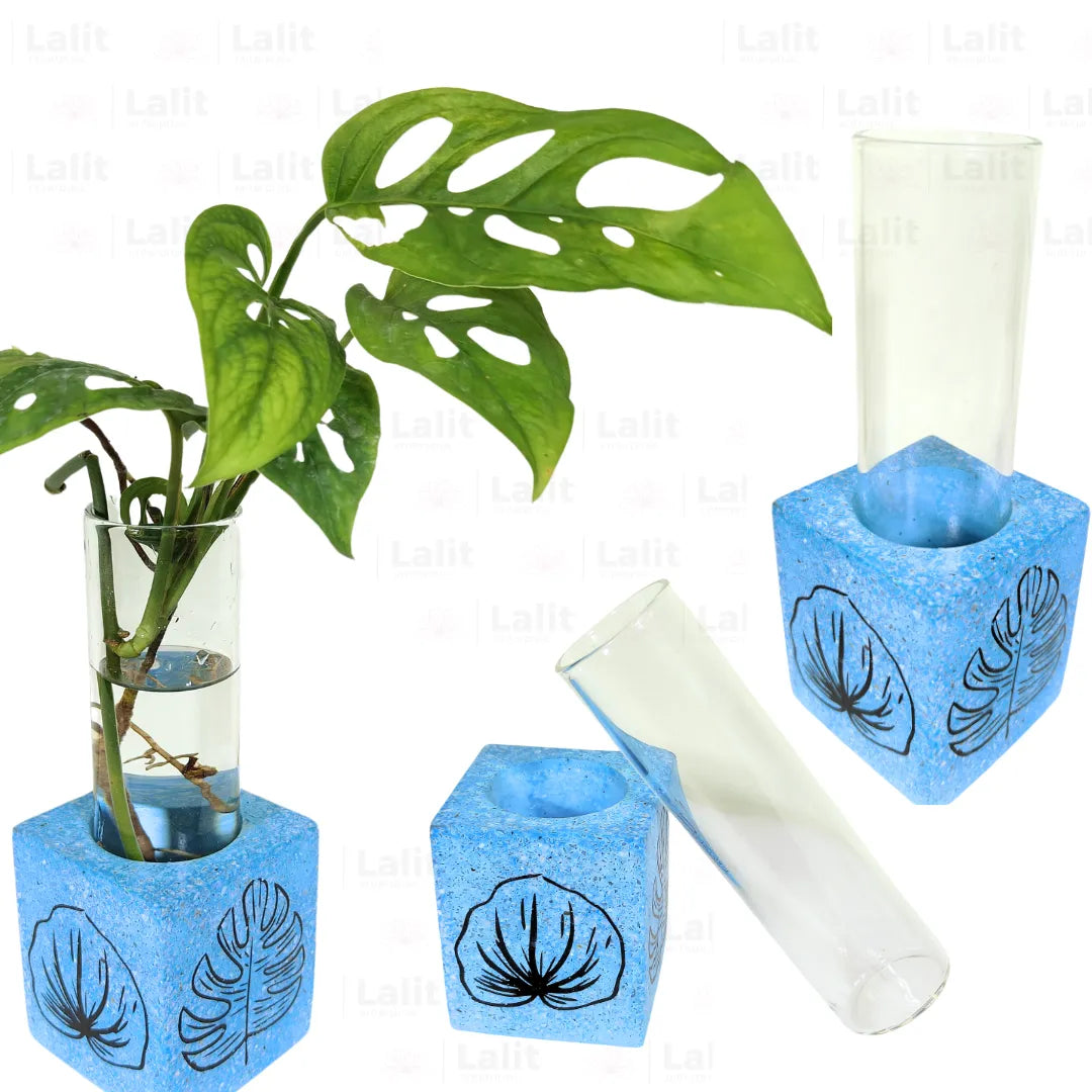 Buy Single Concrete Propagation Test Tube with Stand "Blue" Online at Lalitenterprise