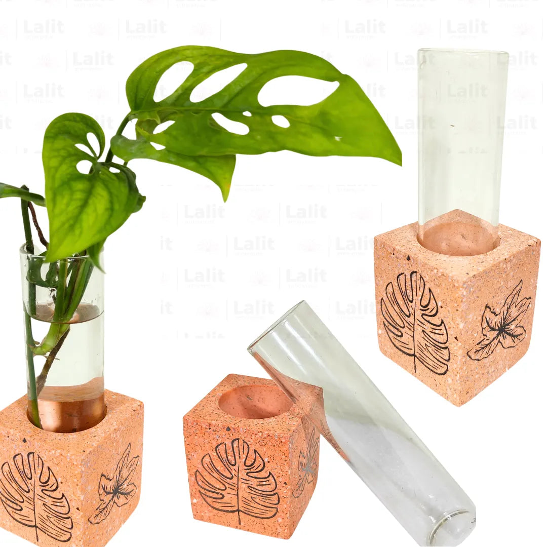 Buy Single Concrete Propagation Test Tube with Stand "Orange" Online at Lalitenterprise