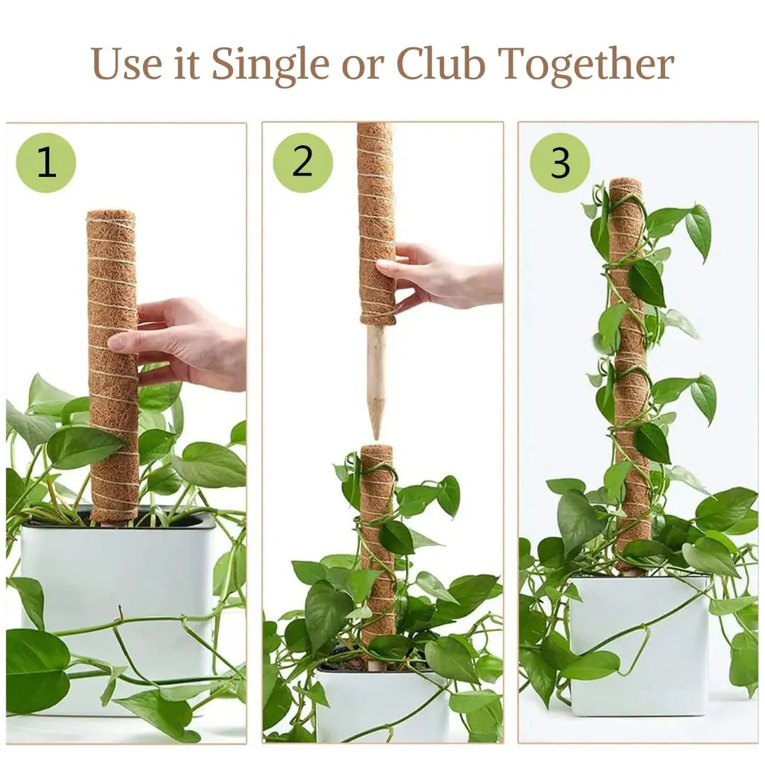 Buy Coir pole, Plant Supporting Stick Online at Lalitenterprise