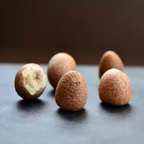 Buy Supari Palm (Areca Catechu) "Betel Nut" - Plant Online at Lalitenterprise